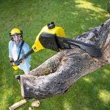 Best Landscape Design and Installation  in Belton, TX